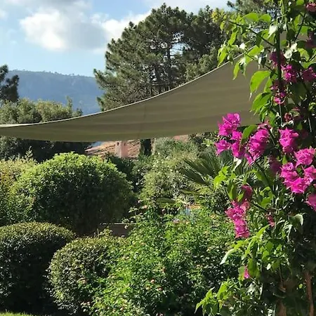 Villa Pieds Dans L Eau Porto Vecchio