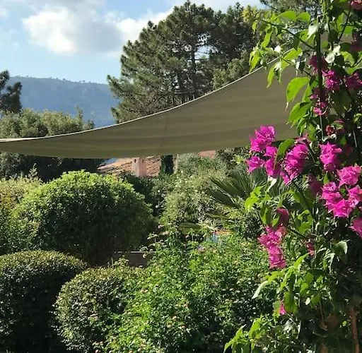 Villa Pieds Dans L Eau Porto-Vecchio (Corsica)