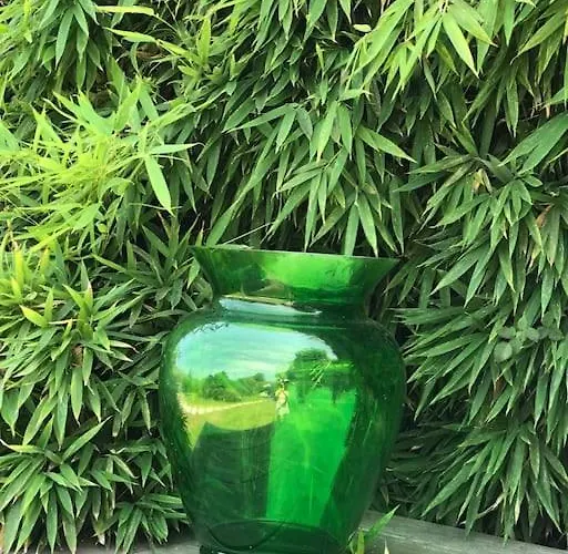 Pieds Dans L Eau Porto-Vecchio (Corsica)